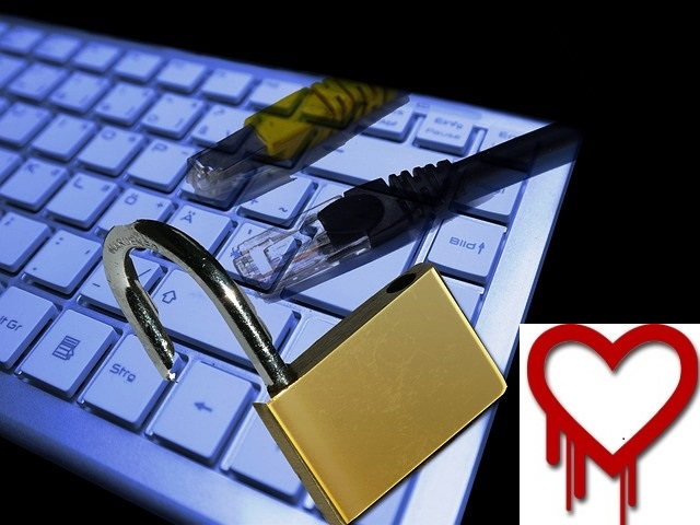 Are You Safe from the Heartbleed Bug?
